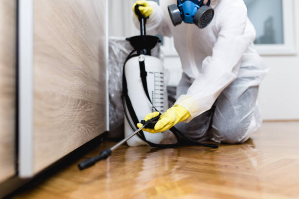 Best Wasp Removal Services  in Tioga Terrace, NY