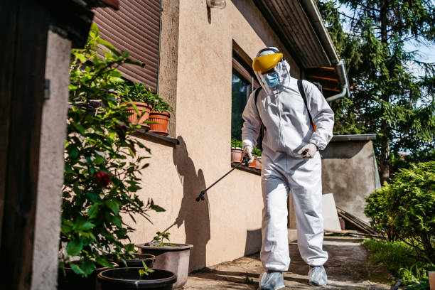 Best Local Pest Control Services  in Tioga Terrace, NY