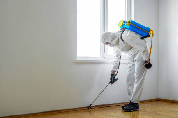 Best Mosquito Control Services  in Tioga Terrace, NY