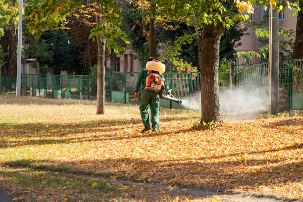 Best Pest Prevention Services  in Tioga Terrace, NY