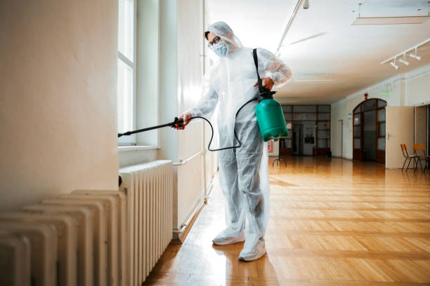 Best Wasp Removal Services  in Tioga Terrace, NY
