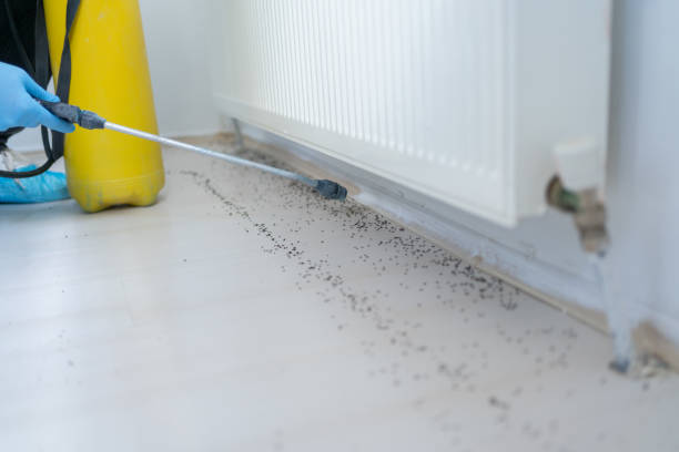 Best Pest Prevention Services  in Tioga Terrace, NY