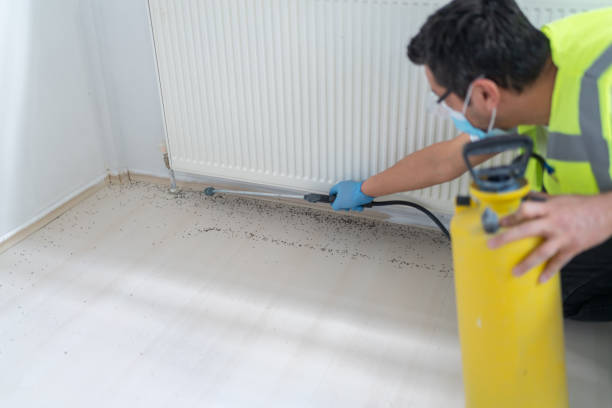 Best Bed Bug Extermination  in Tioga Terrace, NY