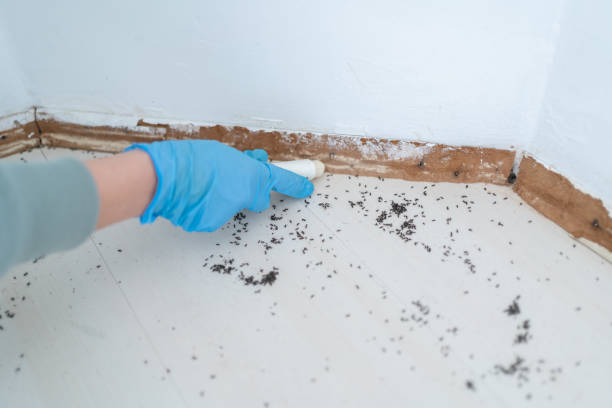 Best Best Pest Control Companies  in Tioga Terrace, NY